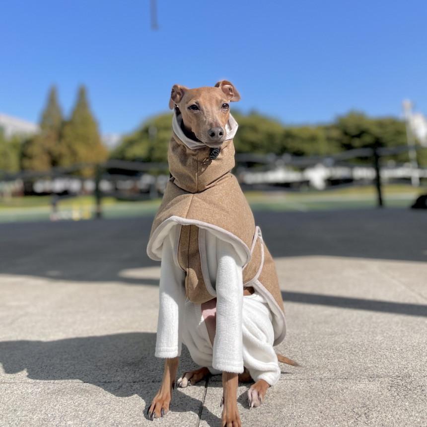 ウィペット 服 セール コート 秋 冬服 中綿軽量バックル ダウン  ベドリントンテリア服 イタグレ 服安い doggystarの画像