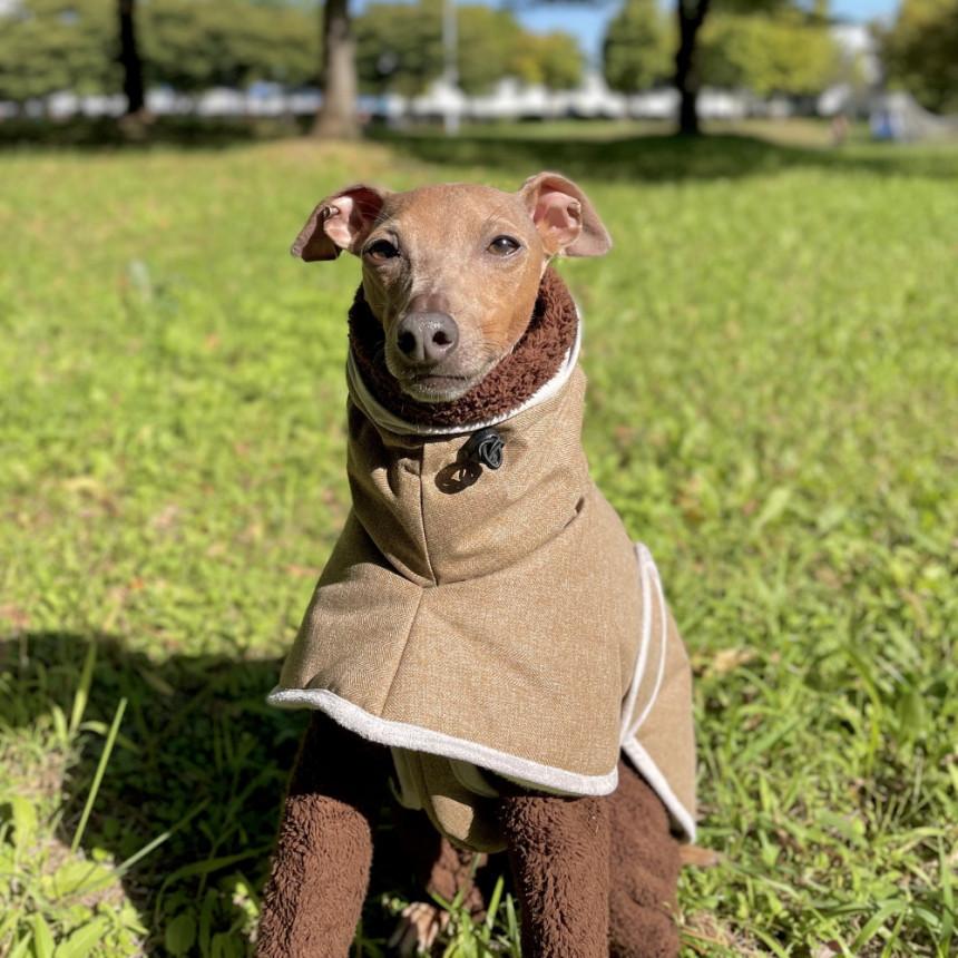 ウィペット 服 セール コート 秋 冬服 中綿軽量バックル ダウン  ベドリントンテリア服 イタグレ 服安い doggystarの画像