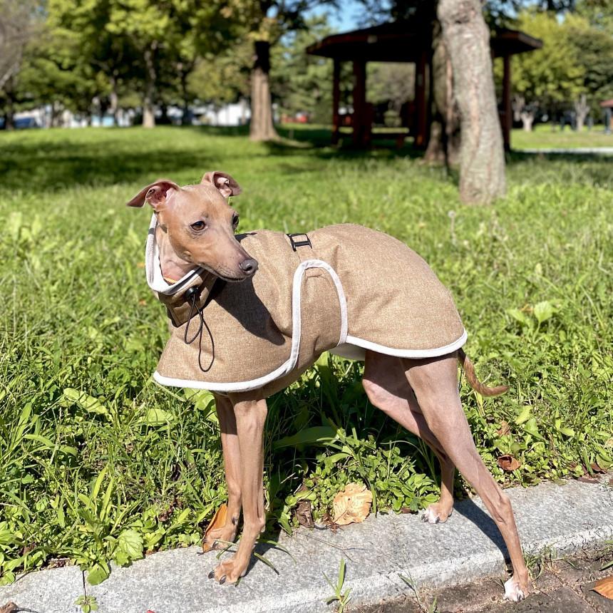 ウィペット 服 セール コート 秋 冬服 中綿軽量バックル ダウン