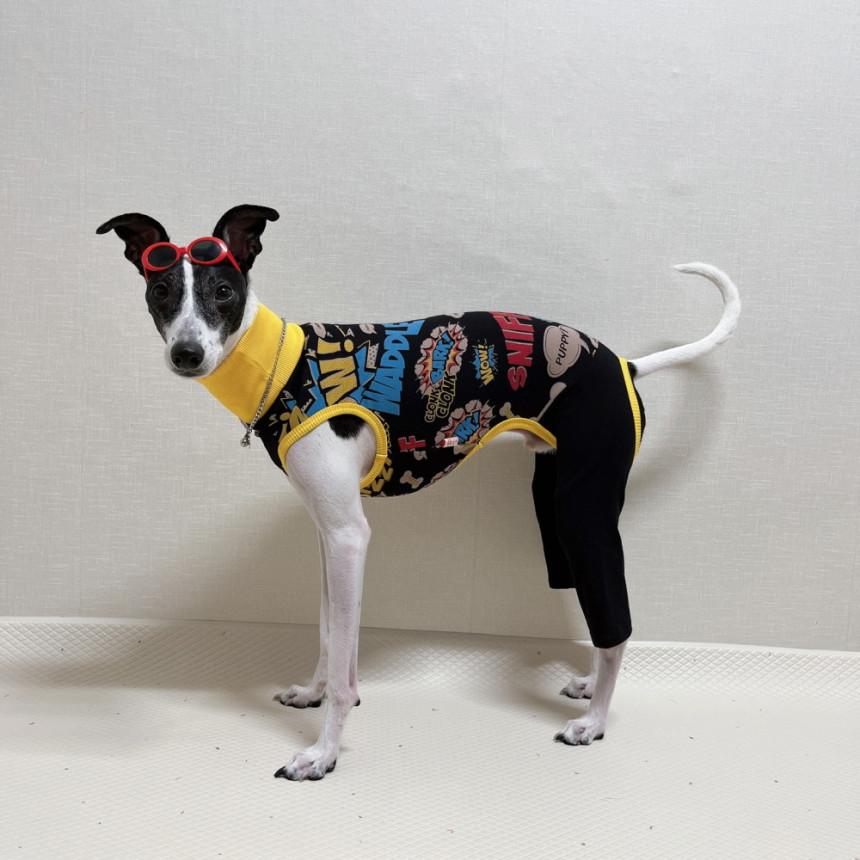 ウィペット 服 犬服 コミックロンパース つなぎ 中型犬 大型犬