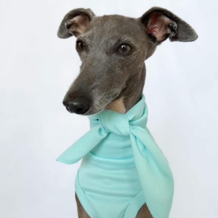 イタグレ服 接触 冷感 スカーフ付き クール ロンパース つなぎ S M L XL2 XL 3XL 小型犬 中型犬 春夏 涼しい 熱中症対策 doggystar |  | 18