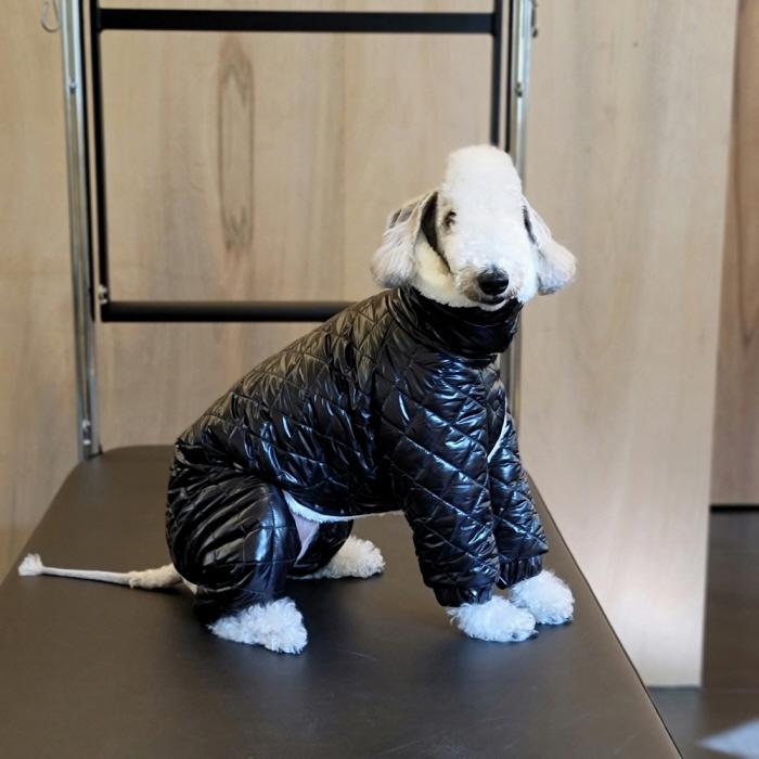 セール べドリントンテリア服 中綿 キルティング ロンパース ダウン