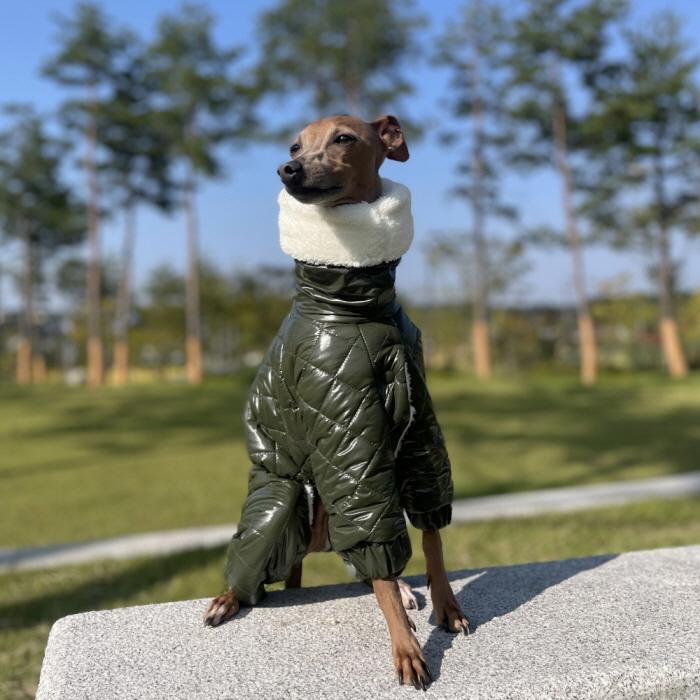 イタグレ服 中綿 キルティング ロンパース ダウン コート イタグレ服 中綿 キルティング ロンパース ダウン コート 小型犬