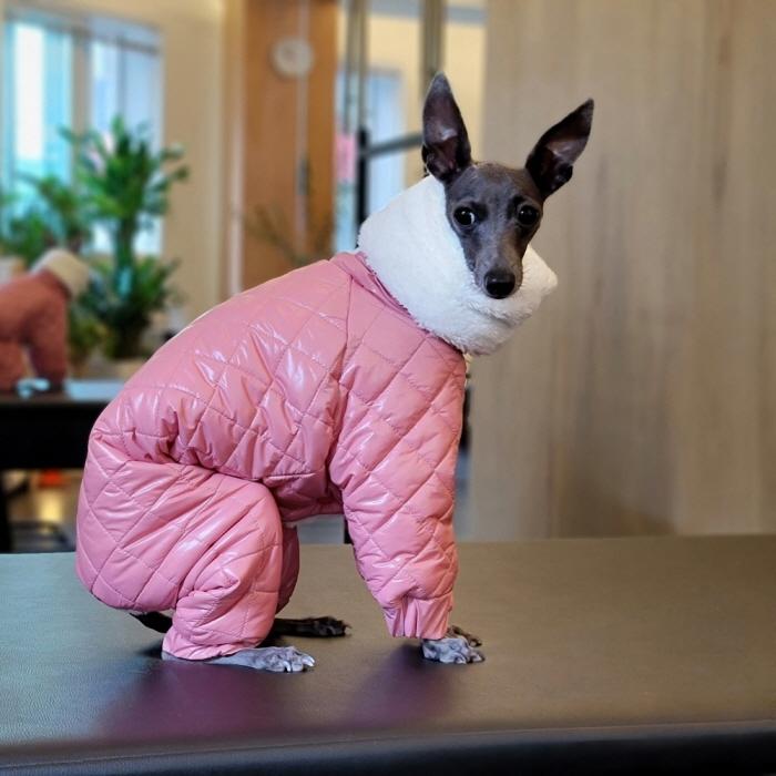 イタグレ服 中綿 キルティング ロンパース ダウン コート 小型犬 イタグレ服 中綿 キルティング ロンパース ダウン コート 小型犬