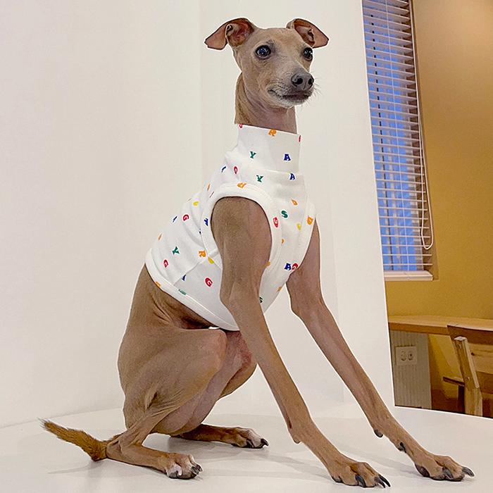 イタグレ服 アルファベットクロップド トップス ショート丈 Tシャツ S M L XL 2XL 3XL 小型犬 中型犬 大型犬 春 夏服 doggystar |  | 15