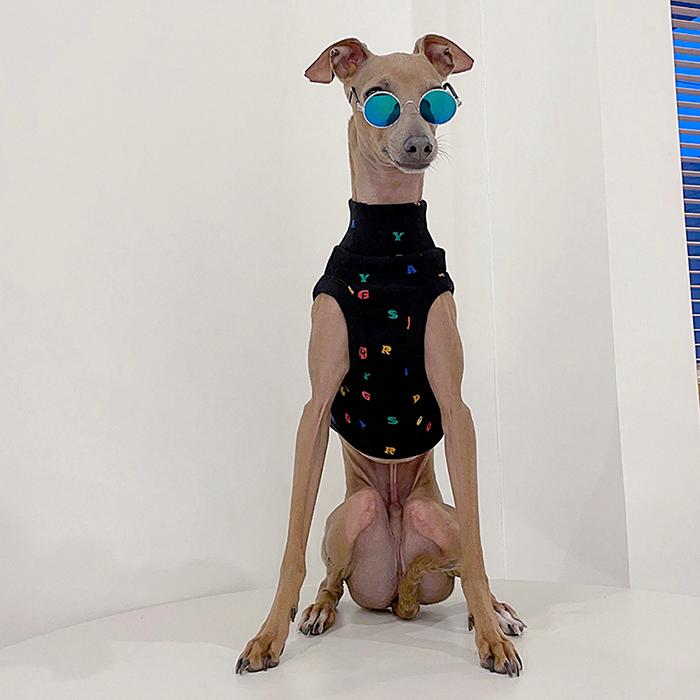 イタグレ服 アルファベットクロップド トップス ショート丈 Tシャツ S M L XL 2XL 3XL 小型犬 中型犬 大型犬 春 夏服 doggystar |  | 16