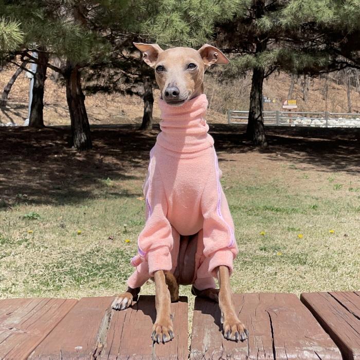 イタグレ服 タオル地 ロンパース つなぎ S M L XL 2XL 3XL 小型犬 中型犬 大型犬 春 初秋 秋 doggystar |  | 17