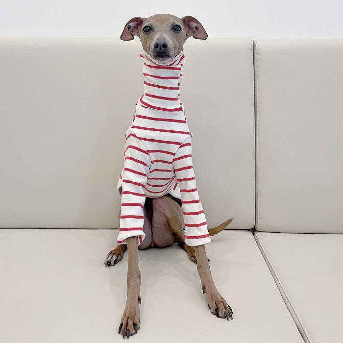 イタグレ服 ボーダーシンプル 長袖Tシャツ S M L XL 2XL 3XL 小型犬 中型犬 大型犬 春 夏 秋 冬 パジャマ 室内着 doggystar ドッギースター |  | 11