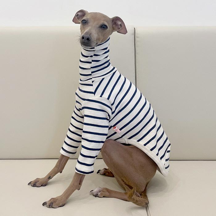 イタグレ服 ボーダーシンプル 長袖Tシャツ S M L XL 2XL 3XL 小型犬 中型犬 大型犬 春 夏 秋 冬 パジャマ 室内着 doggystar ドッギースター |  | 14
