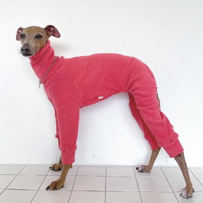 イタグレ服 セール 無地 ロンパース つなぎ 小型犬 中型犬 春 初秋 秋 冬 韓国 doggystar ドッギースター | 