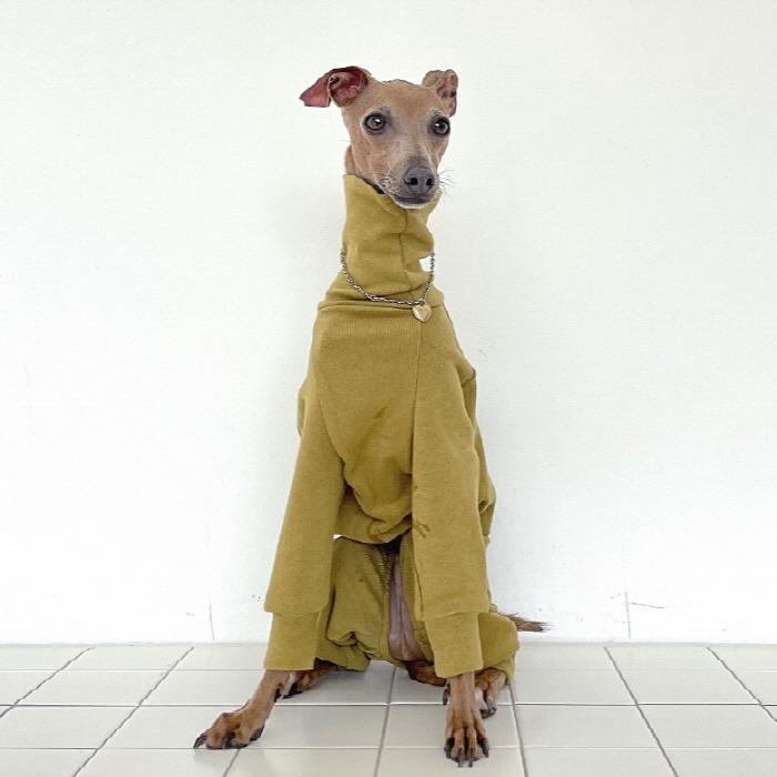 イタグレ服 セール 無地 ロンパース つなぎ 小型犬 中型犬 春 初秋 秋 冬 韓国 doggystar ドッギースター |  | 17