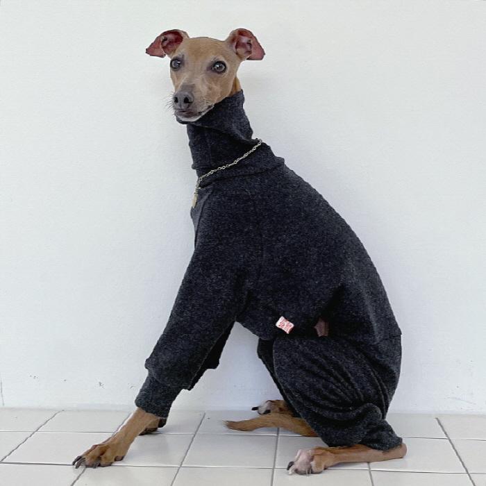 イタグレ服 セール 無地 ロンパース つなぎ 小型犬 中型犬 春 初秋 秋 冬 韓国 doggystar ドッギースター |  | 18