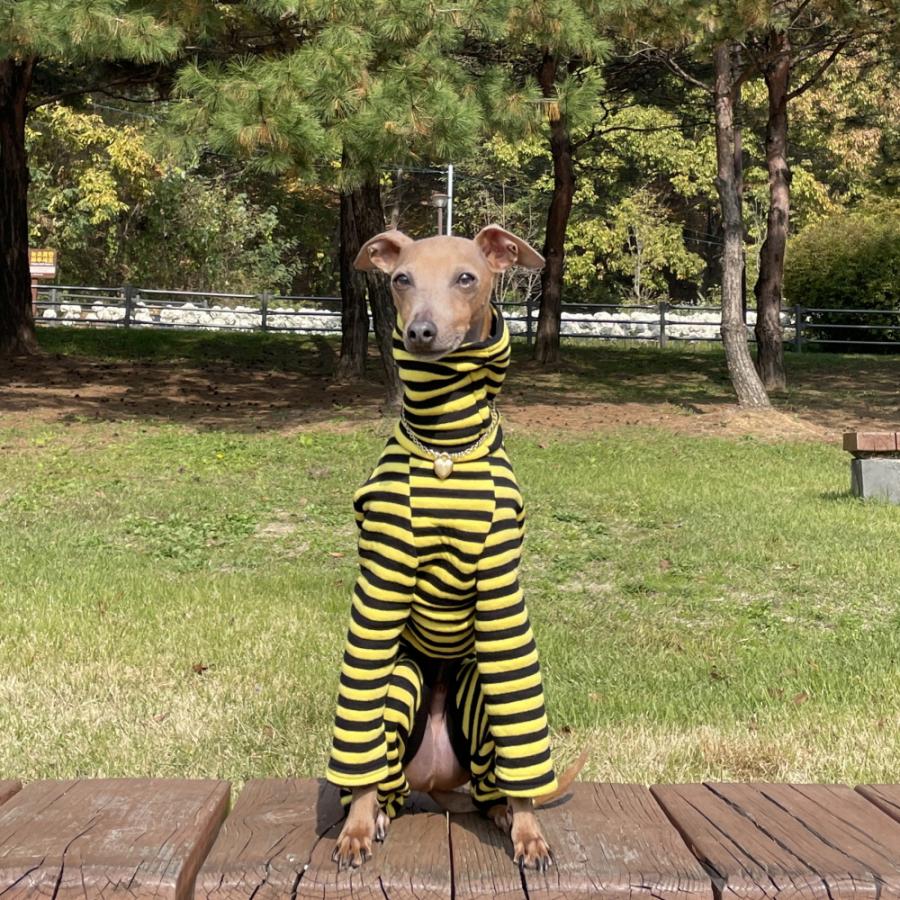 イタグレ服 セール ボーダー キルティング ロンパース 小型犬 中型犬 春 初秋 秋 冬 ドッギースター doggystar |  | 15