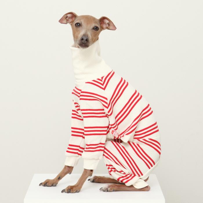 イタグレ服  ボーダーロンパース つなぎ 伸縮性抜群 小型犬 中型犬 春夏服 秋冬服 doggystar ドッギースター |  | 16