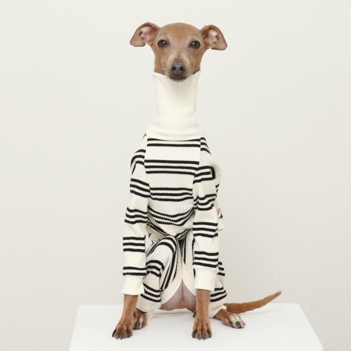 イタグレ服  ボーダーロンパース つなぎ 伸縮性抜群 小型犬 中型犬 春夏服 秋冬服 doggystar ドッギースター |  | 17