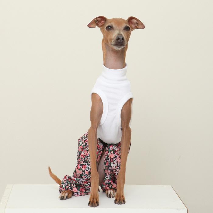 イタグレ服 花柄 サルエルパンツ もんぺパンツ ロンパース つなぎ S M L XL 2XL 3XL ゆったり イタグレ服 小型犬 中型犬 大型犬 春 夏 doggystar ドッギースター |  | 14