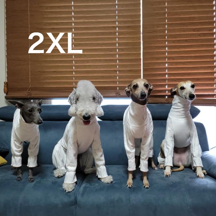 ベドリントンテリア 服 春 夏 秋 冬 パジャマ Tシャツ 2xl ウィペット イタリアン グレーハウンド イタグレ犬服 Doggystar ドッギースター Ig5 2 Cockerpapa Doggystar 通販 Yahoo ショッピング