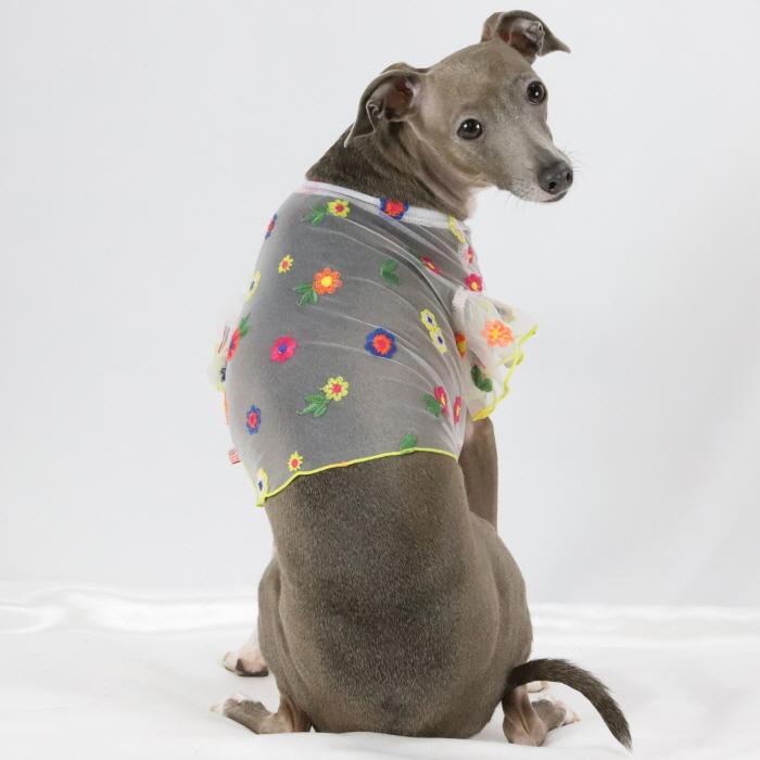 イタグレ服 シースルー 花柄 刺繍 チュール フリル ブラウス 小型犬