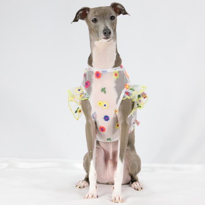 イタグレ服 シースルー 花柄 刺繍 チュール フリル ブラウス 小型犬