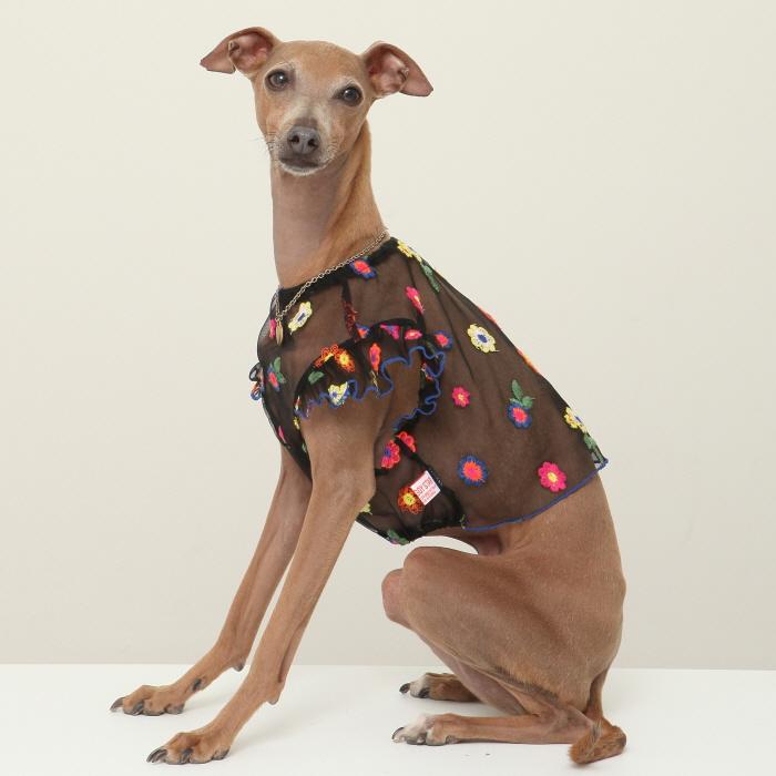 イタグレ服 シースルー 花柄 刺繍 チュール フリル ブラウス S M L XL 2XL 3XL 小型犬 中型犬 大型犬 春 夏 doggystar ドッギースター |  | 08