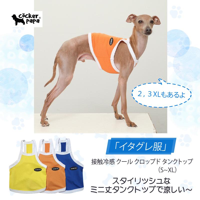 イタグレ服 ひんやり 接触冷感 スポーツ クール クロップド タンクトップ S M L XL 2XL 3XL 小型犬 中型犬 大型犬 夏 doggystar ドッギースター | 