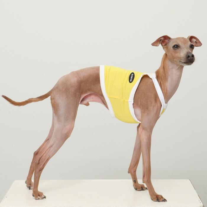 イタグレ服 ひんやり 接触冷感 スポーツ クール クロップド タンクトップ S M L XL 2XL 3XL 小型犬 中型犬 大型犬 夏 doggystar ドッギースター |  | 15