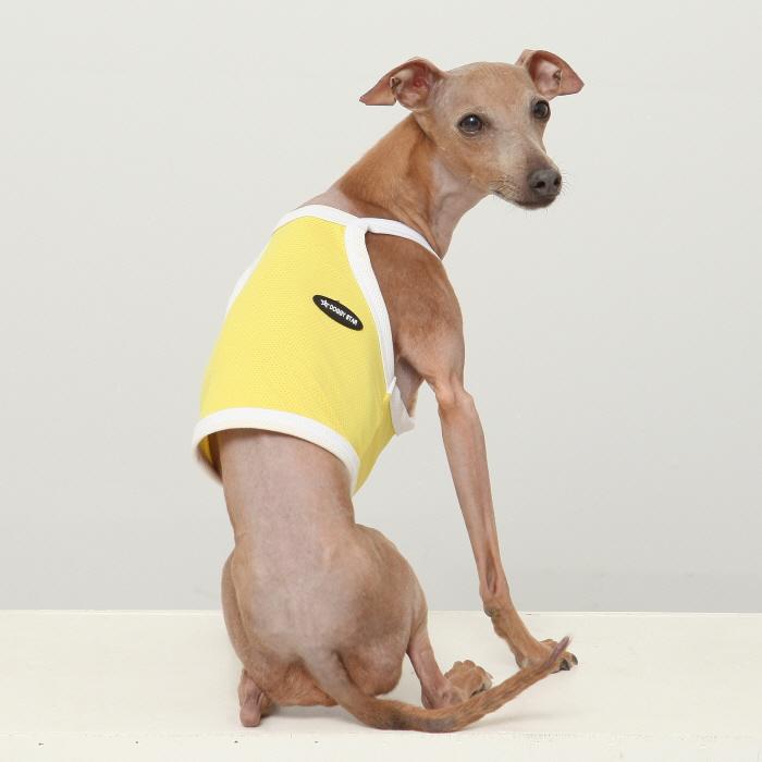 イタグレ服 ひんやり 接触冷感 スポーツ クール クロップド タンクトップ S M L XL 2XL 3XL 小型犬 中型犬 大型犬 夏 doggystar ドッギースター |  | 14