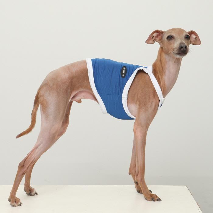 イタグレ服 ひんやり 接触冷感 スポーツ クール クロップド タンクトップ S M L XL 2XL 3XL 小型犬 中型犬 大型犬 夏 doggystar ドッギースター |  | 16