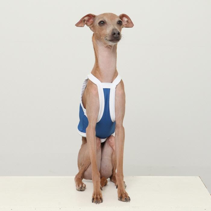 イタグレ服 ひんやり 接触冷感 スポーツ クール クロップド タンクトップ S M L XL 2XL 3XL 小型犬 中型犬 大型犬 夏 doggystar ドッギースター |  | 17