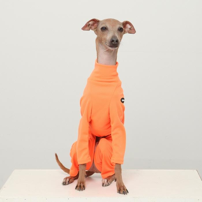 メッシュロンパース(蛍光オレンジ) イタグレ服 犬服 犬服ウィペットの