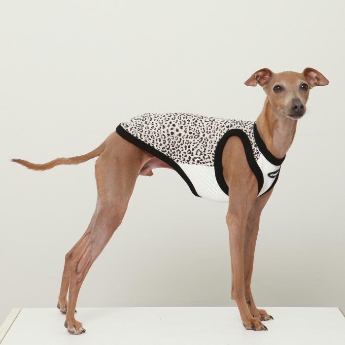 イタグレ服 ヒョウ柄 タンクトップ Tシャツ レオパード S M L XL 2XL 3XL 小型犬 中型犬 大型犬 春 夏服 doggystar ドッギースター |  | 11