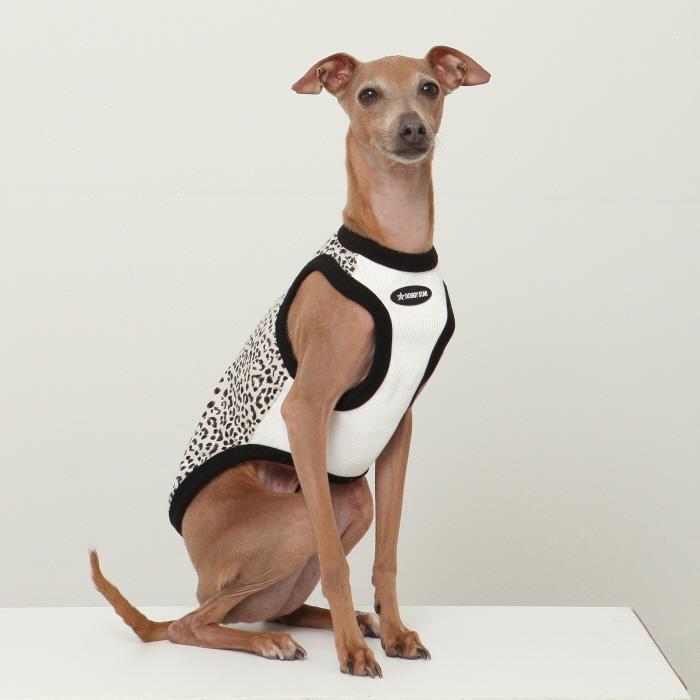 イタグレ服 ヒョウ柄 タンクトップ Tシャツ レオパード S M L XL 2XL 3XL 小型犬 中型犬 大型犬 春 夏服 doggystar ドッギースター |  | 12