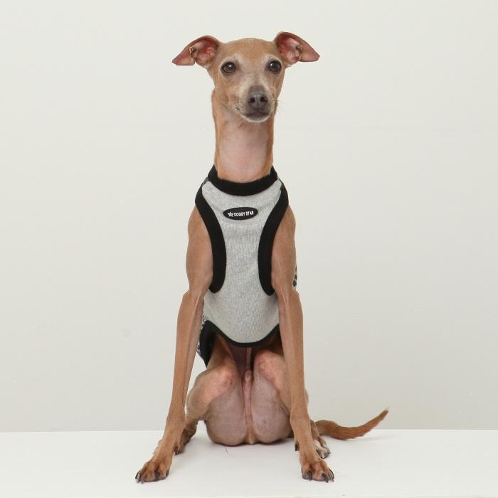 イタグレ服 ヒョウ柄 タンクトップ Tシャツ レオパード S M L XL 2XL 3XL 小型犬 中型犬 大型犬 春 夏服 doggystar ドッギースター |  | 14
