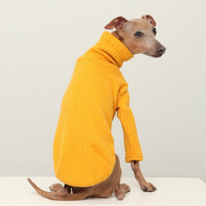 イタグレ服 無地ニット Tシャツ S M L XL 2XL 3XL 小型犬 中型犬 大型犬 秋 冬 室内着 インナー doggystar ドッギースター |  | 17