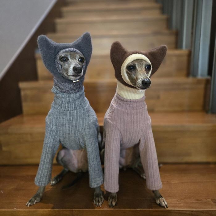 イタグレ帽子 耳付き ニットキャップ ビニー帽 ほっかむり帽子（服は含まれません） 小型犬 中型犬 秋冬 doggystar ドッギースター |  | 19