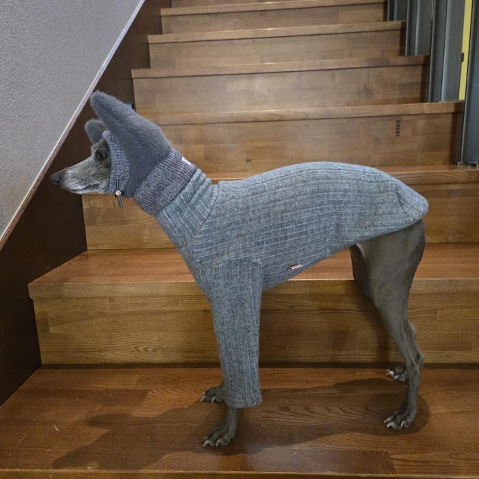 イタグレ帽子 耳付き ニットキャップ ビニー帽 ほっかむり帽子（服は含まれません） 小型犬 中型犬 秋冬 doggystar ドッギースター |  | 20