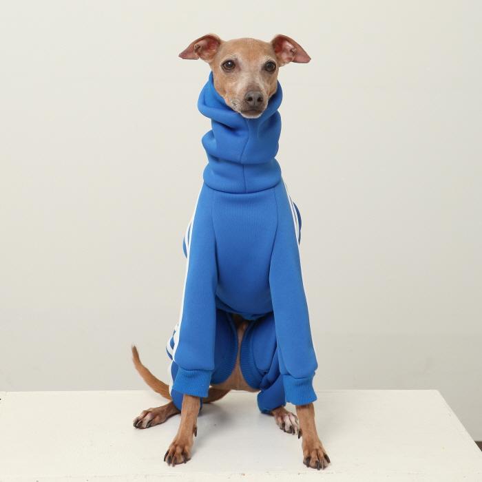 イタグレ 裏起毛 ジャージ ロンパース つなぎ 小型犬 中型犬 大型犬 春