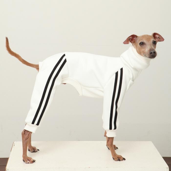 イタグレ 裏起毛 ジャージ ロンパース つなぎ 小型犬 中型犬 大型犬 春