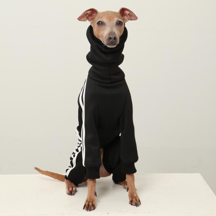 イタグレ 裏起毛 ジャージ ロンパース つなぎ 小型犬 中型犬 大型犬 春