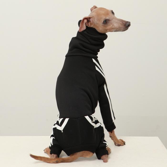 イタグレ 裏起毛 ジャージ ロンパース つなぎ 小型犬 中型犬 大型犬 春