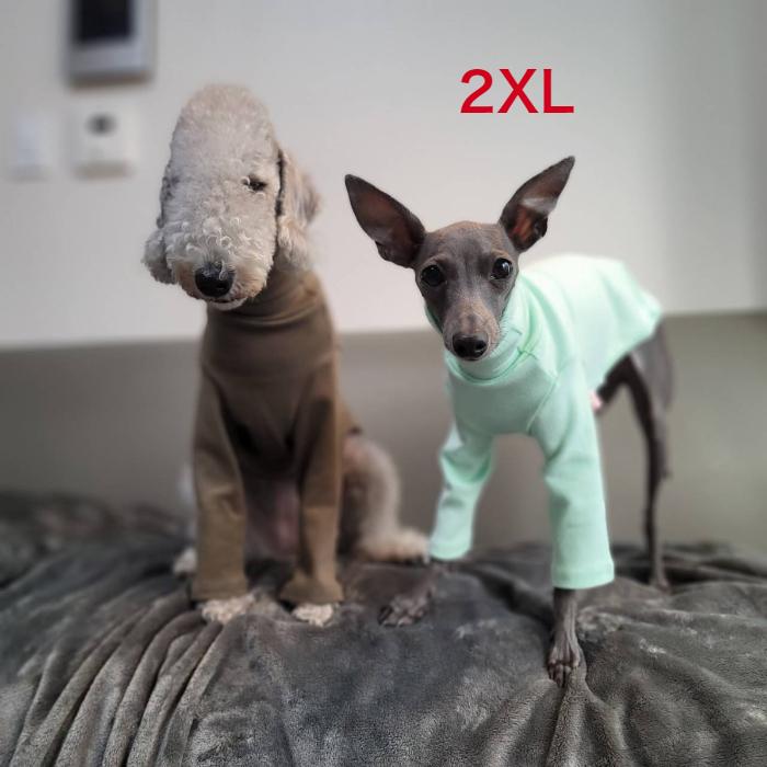 ベドリントンテリア 服 春 夏 秋 冬10カラーｔシャツ 2xl ウィペット服 イタリアングレーハウンド服 イタグレ 服 Doggystar ドッギースター Ig9 2 Cockerpapa Doggystar 通販 Yahoo ショッピング