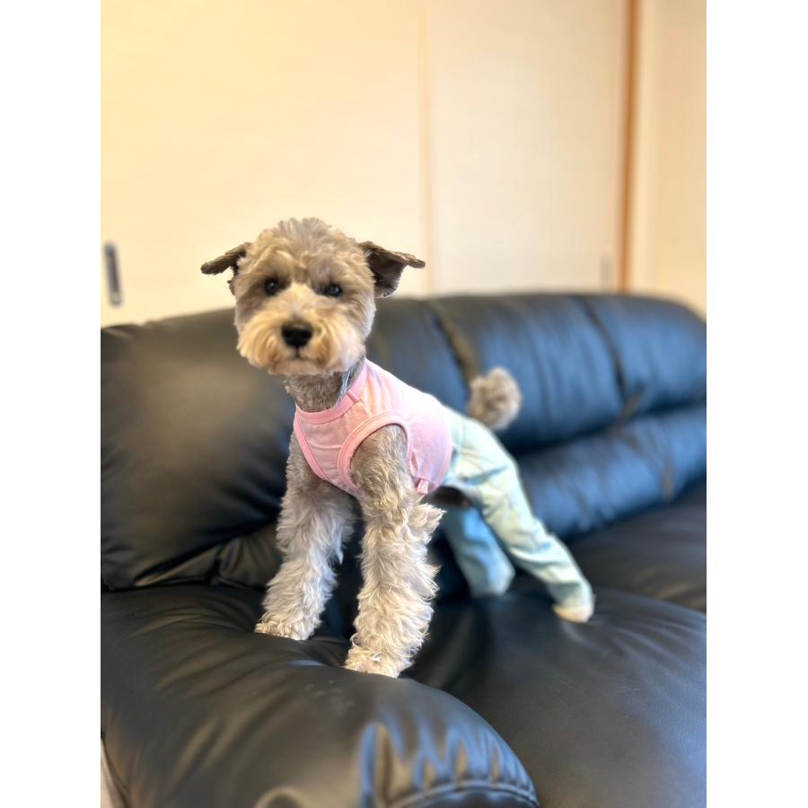 犬服 デニム ロンパース つなぎ 小型犬 中型犬 春夏服 秋冬服 doggystar 伸縮性抜群 | 