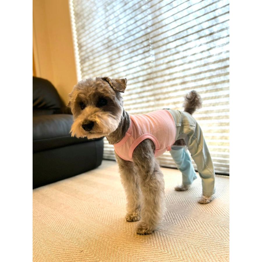 犬服 デニム ロンパース つなぎ 小型犬 中型犬 春夏服 秋冬服 doggystar 伸縮性抜群 |  | 13