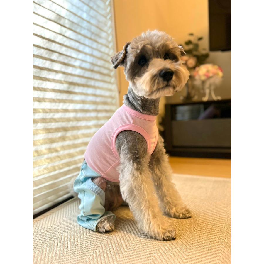 犬服 デニム ロンパース つなぎ 小型犬 中型犬 春夏服 秋冬服 doggystar 伸縮性抜群 |  | 14