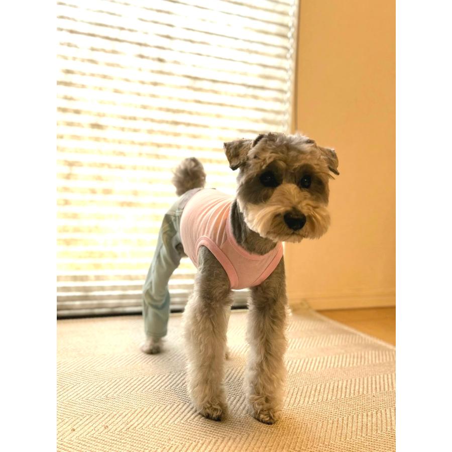 犬服 デニム ロンパース つなぎ 小型犬 中型犬 春夏服 秋冬服 doggystar 伸縮性抜群 |  | 15