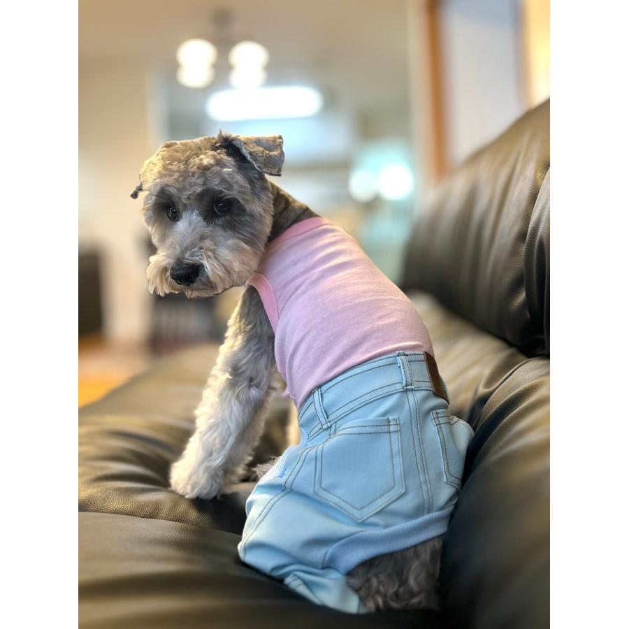 犬服 デニム ロンパース つなぎ 小型犬 中型犬 春夏服 秋冬服 doggystar 伸縮性抜群 |  | 16