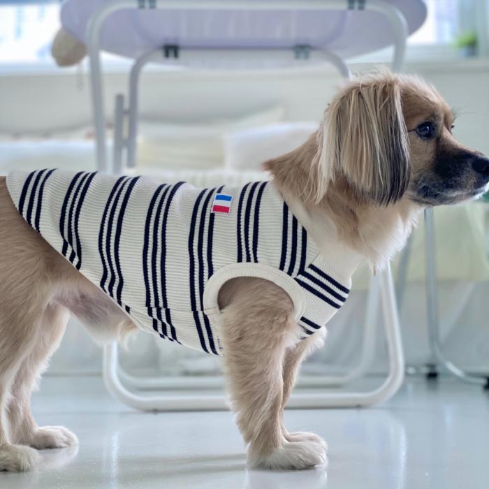 犬服 フランス ボーダー シンプル Tシャツ S M L XL 2XL 3XL 4XL 5XL 6XL 小型犬 中型犬 大型犬 春 夏 秋 冬 袖なし ペット服 doggystar ドッギースター |  | 18