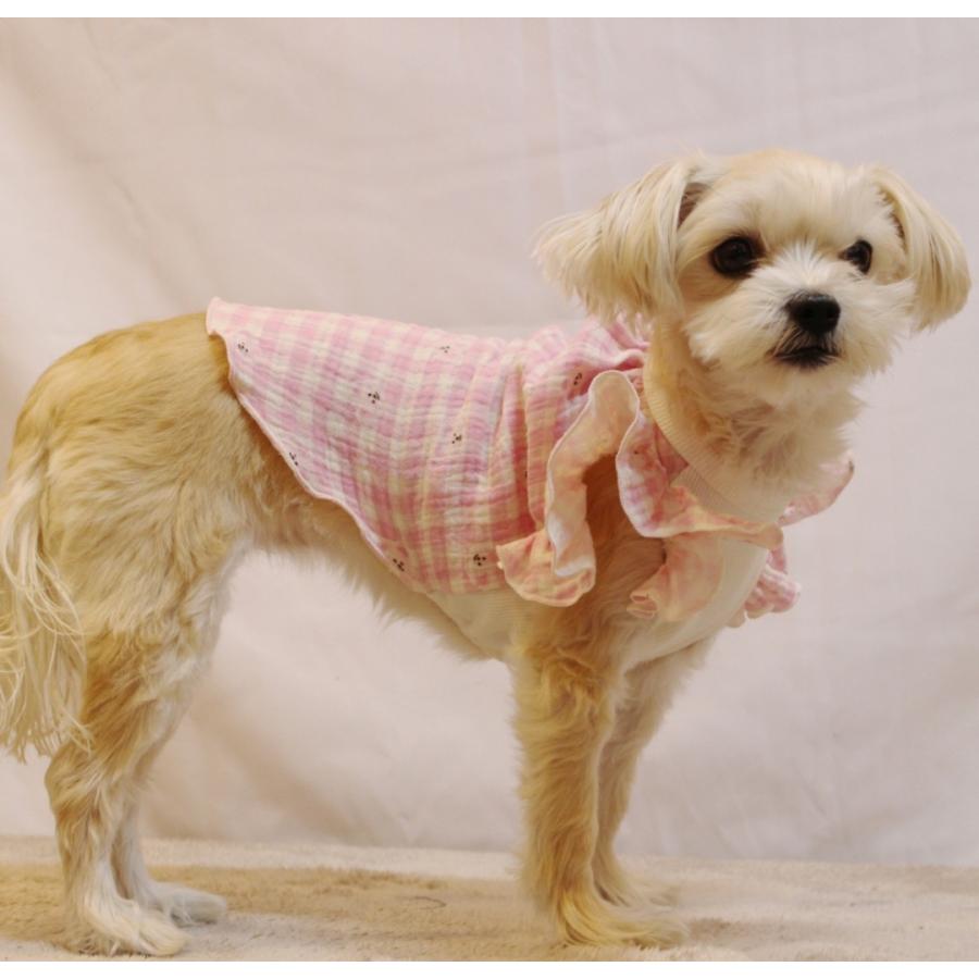 犬服 チェック フリル クマさん Tシャツ 小型犬 中型犬 春 夏 秋 doggystar ドッギースター |  | 12
