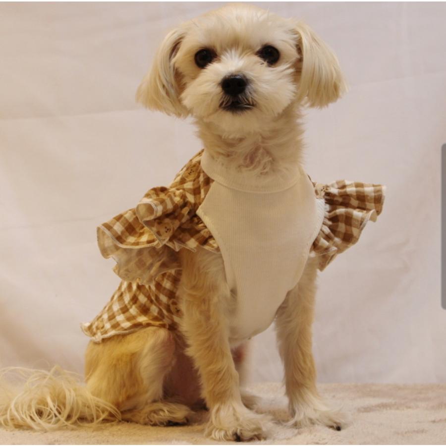 犬服 チェック フリル クマさん Tシャツ 小型犬 中型犬 春 夏 秋 doggystar ドッギースター |  | 13