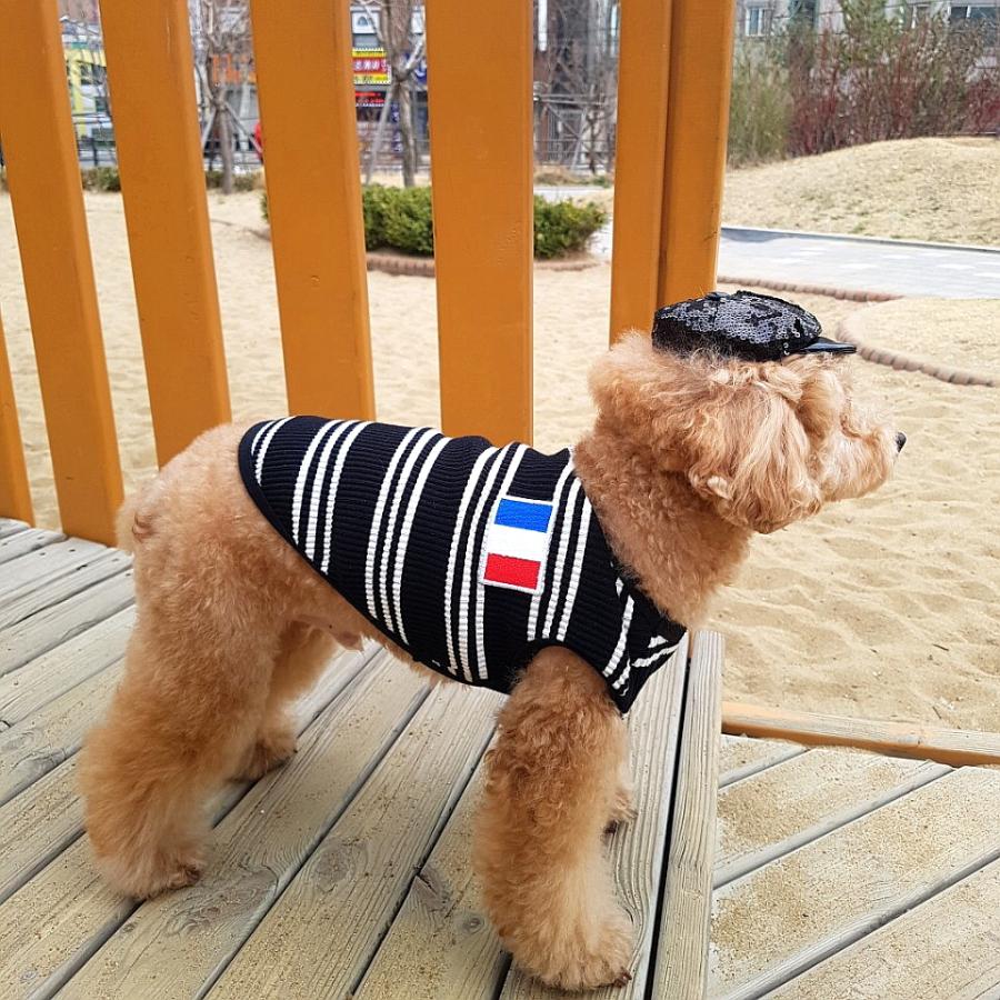 犬 服 かわいい Tシャツ 春 秋 ボーダー シンプル Vネック 袖なし